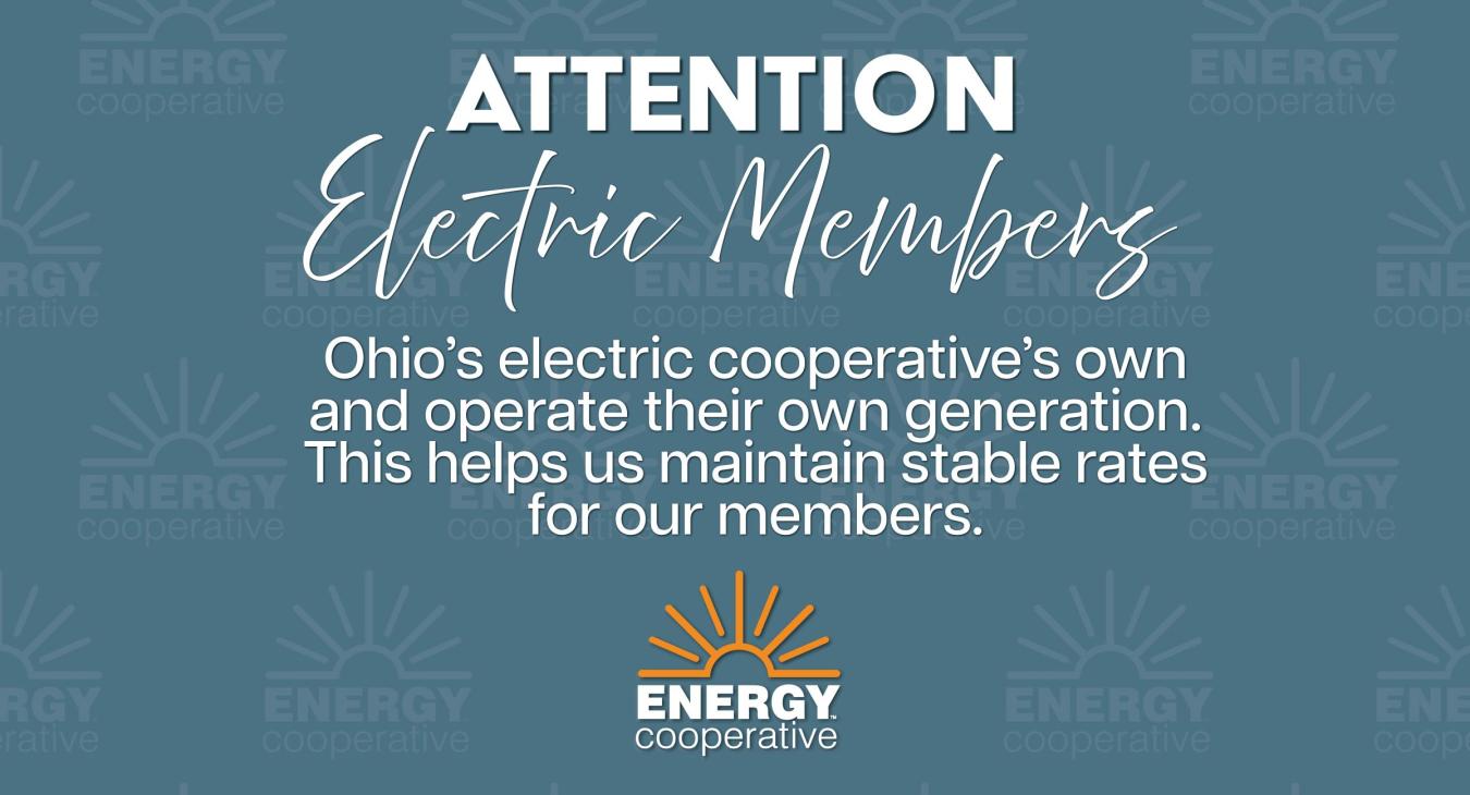 Attention electric members